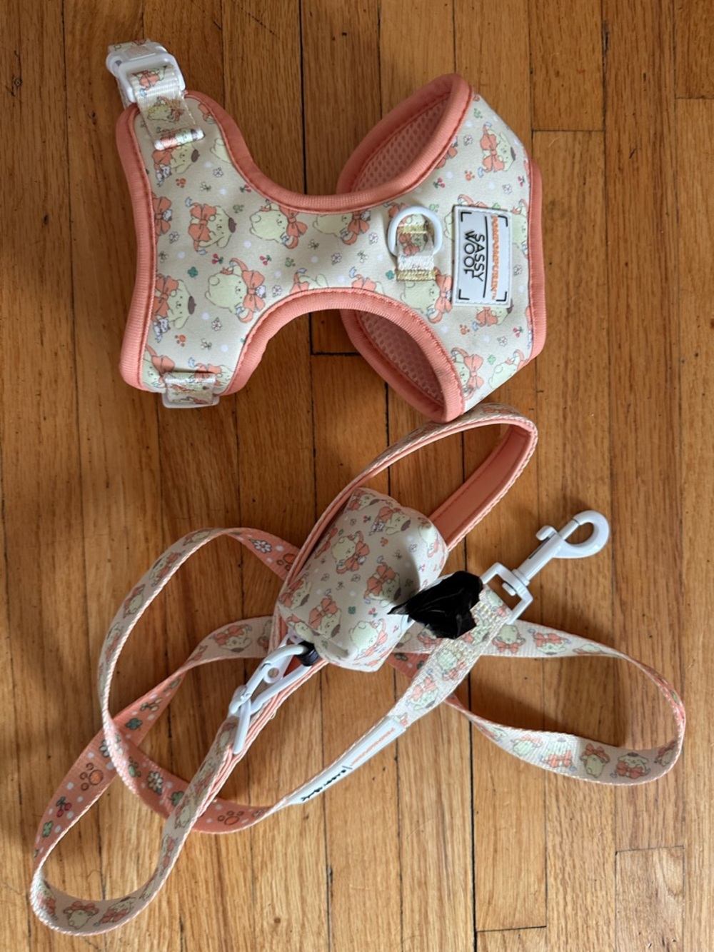 Sassy Woof Dog Harness & Leash Set